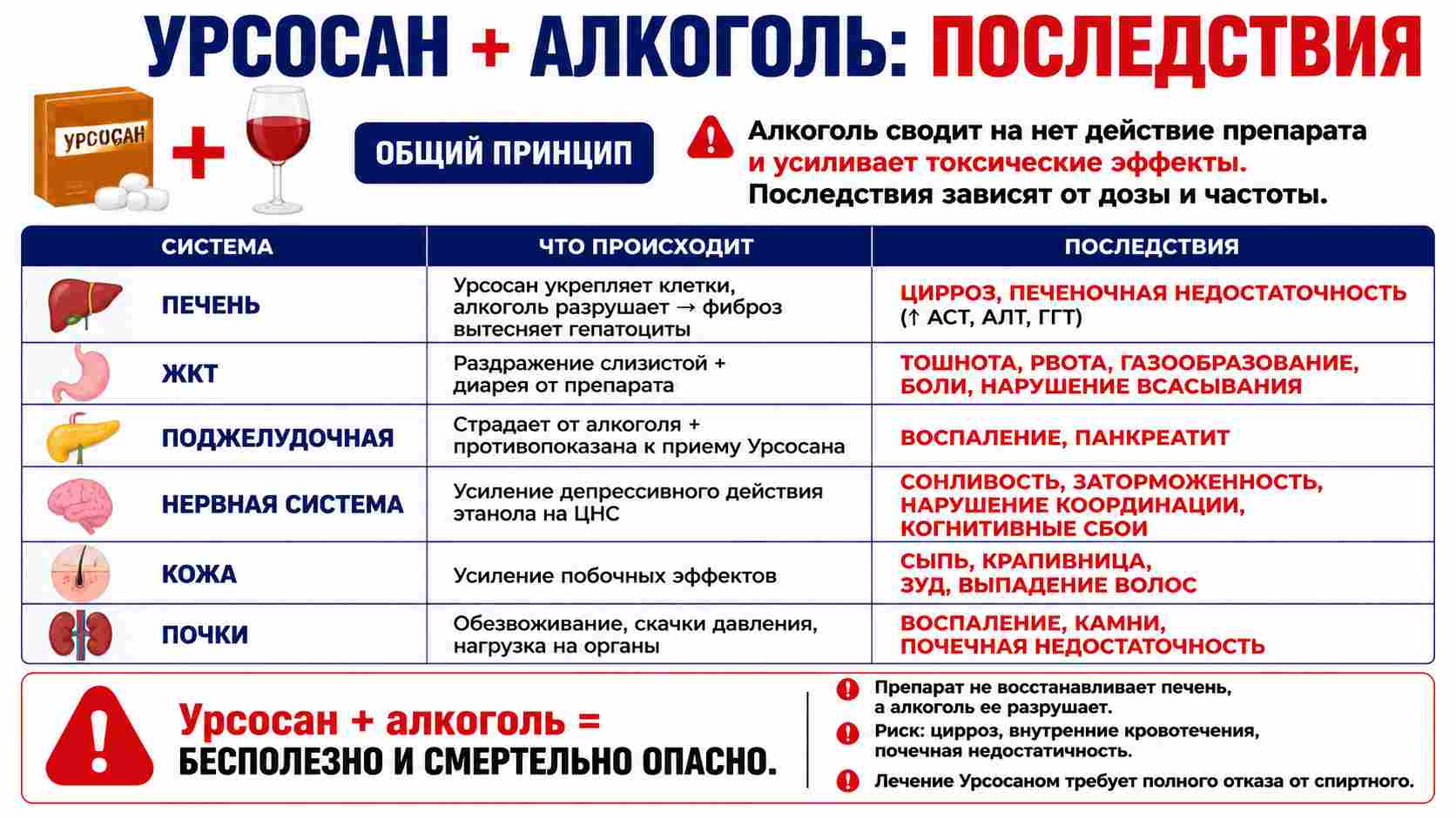Инфографика о несовместимости препарата Урсосан и алкоголя